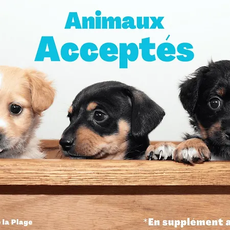 Spacieuse Maison à Jean De Monts Proche Forêt Avec Terrasse, 3 Et Parking Privé - Fr-1-323-524 * Saint-Jean-de-Monts